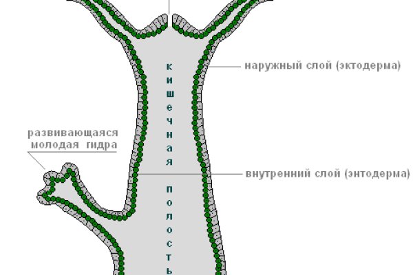 Mega даркнет сайт