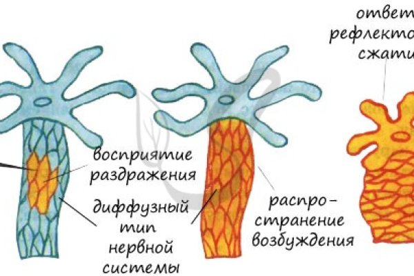 Мега ссылка для тора